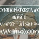 Cute Casual Handwritten font COOKIES4