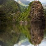 دانلود اکشن فتوشاپ Water Reflection - ایجاد انعکاس آب روی تصاویر