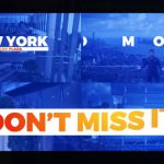 دانلود قالب وردپرس PrettyPress – پوسته سلامت و زیبایی وردپرس دانلود رایگان پروژه افتر افکت Promo