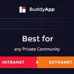 دانلود قالب بادی پرس BuddyApp – پوسته جامعه مجازی وردپرس | پوسته BuddyApp