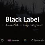 دانلود قالب وردپرس Listopia – پوسته دایرکتوری حرفه ای وردپرس دانلود قالب وردپرس Black Label - پوسته عکاسی و فتوگرافی وردپرس
