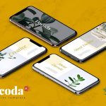 دانلود مجموعه قالب های ارائه DACODA – پاورپوینت | گوگل اسلاید | Keynote