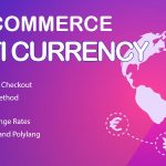 دانلود قالب سرگرمی وردپرس Gaggle دانلود افزونه WooCommerce Multi Currency - Currency Switcher