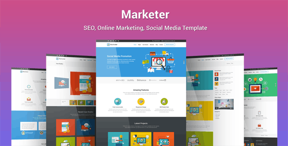 دانلود قالب وردپرس Marketer - پوسته دیجیتال مارکتینگ و خدمات سئو وردپرس