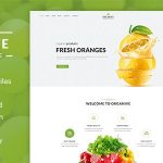 دانلود قالب سایت Organive - قالب محصولات ارگانیک و طبیعی HTML