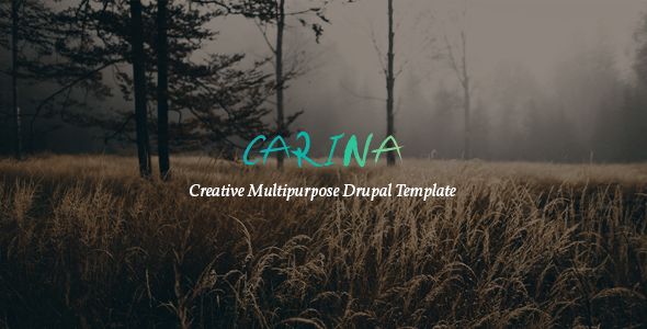 دانلود قالب دروپال Carina - قالب خلاقانه و واکنش گرا دروپال