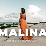 دانلود قالب میوز BigHit – مجموعه قالب Coming Soon و به زودی Adobe Muse دانلود قالب وردپرس Malina - پوسته وبلاگ شخصی و واکنش گرا وردپرس