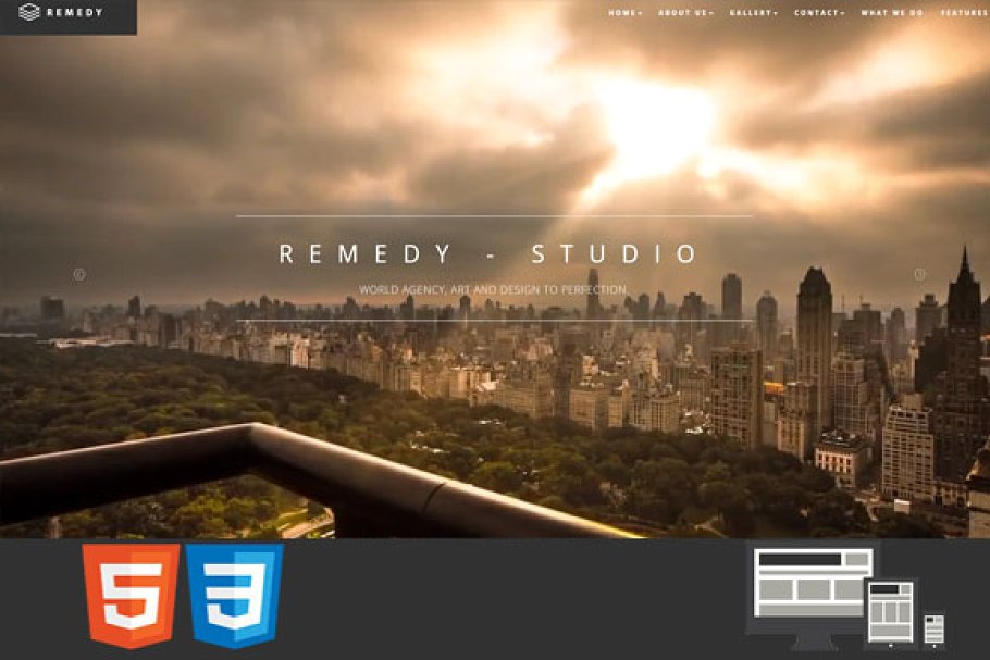 دانلود قالب سایت Remedy - قالب تک صفحه ای و چند صفحه ای HTML