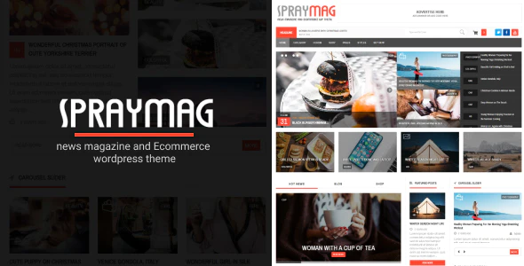 دانلود قالب وردپرس Spraymag - پوسته وبلاگ و مجله خبری حرفه ای وردپرس