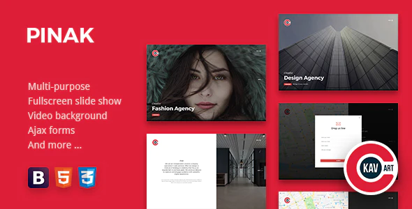 دانلود قالب وردپرس Cannix – قالب وبلاگ خلاقانه و جذاب وردپرس Creative Coming Soon Template PINAK