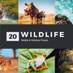 دانلود مجموعه پریست لایت روم Paradise – دو نسخه دسکتاپ و موبایل دانلود مجموعه 20 پریست لایت روم فوق العاده Wildlife - نسخه دسکتاپ و موبایل