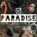 دانلود پریست لایت روم Wedding Lightroom Presets دانلود مجموعه پریست لایت روم Paradise - دو نسخه دسکتاپ و موبایل