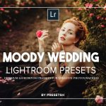 دانلود قالب وردپرس Adeline – پوسته نمونه کار و عکاسی خلاقانه وردپرس دانلود پریست لایت روم Moody Wedding - مجموعه کامل و خریداری شده