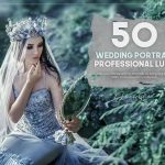 دانلود مجموعه پریست 50 Wedding Portrait LUTs Pack