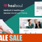 دانلود قالب پزشکی وردپرس Healsoul