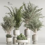 دانلود فایل سه بعدی مجموعه گیاهان آپارتمانی Indoor Plant