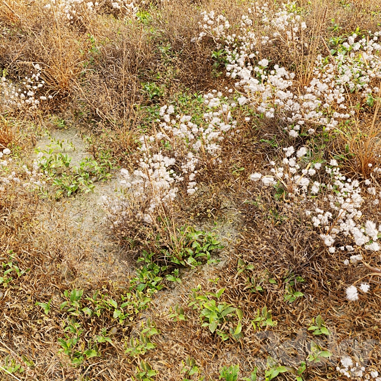 Dry meadow-min دانلود فایل سه بعدی Dry meadow