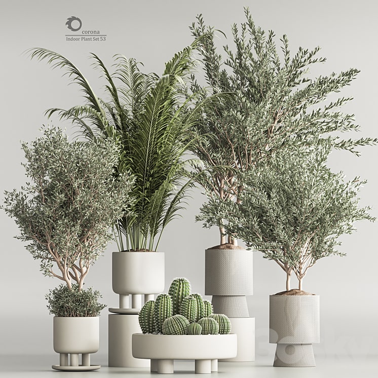 دانلود فایل سه بعدی Indoor Plant Set 54