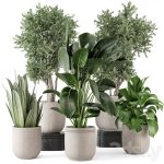 Indoor Plants in rusty Concrete Pot - Set 921