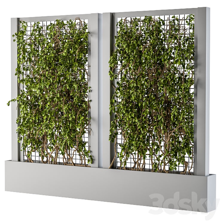 ivy Box Plants Gray-min دانلود فایل سه بعدی ivy Box Plants Gray