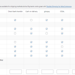 دانلود افزونه Active Payments WooCommerce