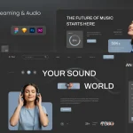 قالب دایرکتوری درمانگاه و بیمارستان وردپرس Doctreat کیت طراحی رابط کاربری Noyz - مخصوص سایت موزیک و استریم