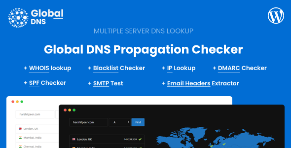 افزونه Global DNS - ابزار بررسی DNS وردپرس و هوییز دامنه