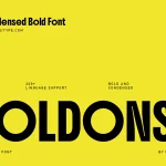 دانلود فونت Codent Pro – تایپفیس مهندسیشده مونواسپیس دانلود فونت Boldonse - تایپفیس بولد و فشرده با طراحی مدرن