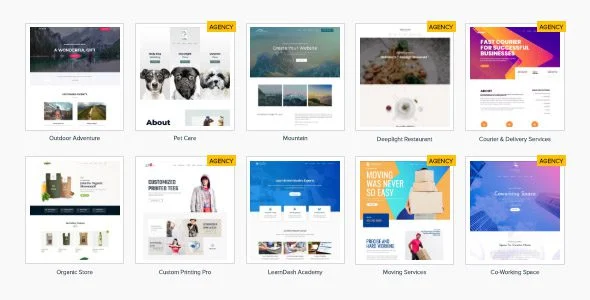 افزونه Astra Premium Starter Templates برای طراحی سریع سایت astra starter