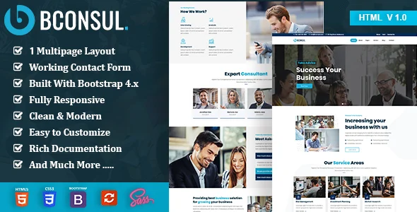 bconsul consulting finance html5 template