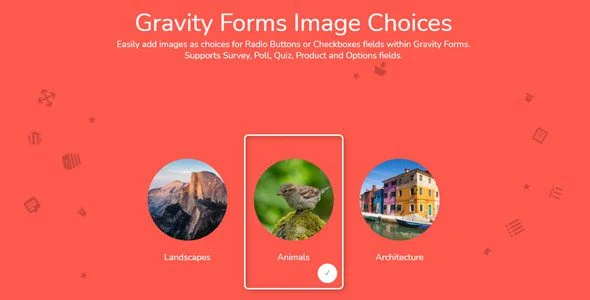 افزونه Gravity Forms Image Choices برای انتخاب تصویر در فرمها gravity forms image choices